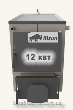 Котел + плита Bizon М-120П потужністю 12 квт