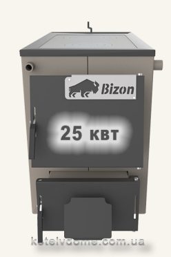 купити котел з варочною поверхнею Bizon M250P