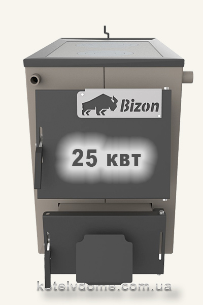 купити котел з варочною поверхнею Bizon M250P